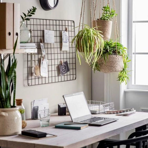 Biophilic Home Office Design: How to Bring the Outdoors In